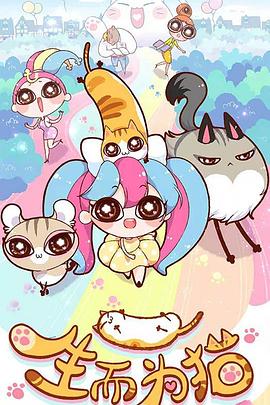 福建seo优化排行